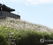 [날씨] 일교차 큰 가을 날씨..남부 오전까지 비