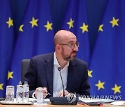 BELGIUM EU COUNCIL PRESIDENT VIDEO CALL