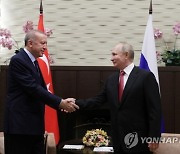 RUSSIA TURKEY DIPLOMACY