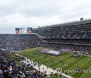 Bears Stadium Football