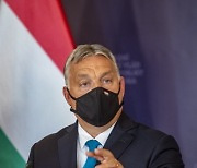 CZECH REPUBLIC HUNGARY DIPLOMACY
