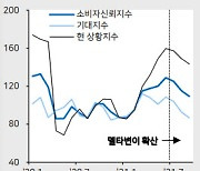 "인플레 등에 美 소비심리 악화 중..연준이 긴축하는 이유"