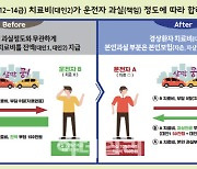 車 경상환자에 과실책임.."보험료 2만~3만원 절감효과"
