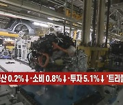 [이데일리N] 8월 생산 0.2%↓·소비 0.8%↓·투자 5.1%↓ '트리플 감소'