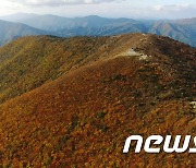 태백산국립공원 불법행위 집중점검 특별단속반 운영