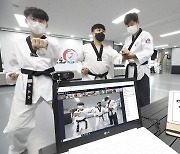 'KT랜선에듀' 서비스 확장..예체능·기업 교육
