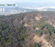 대법원 "대전 매봉공원 민간특례사업 취소..공익이 사익보다 커"