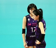 Lee twins to continue career in Greece after FIVB steps in