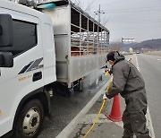 경북도, 내년 2월까지 '가축질병 특별방역체제' 돌입