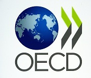 기재차관보, OECD 각료이사회 참석..디지털세 최종안 의견개진