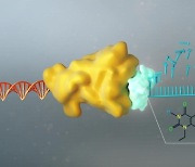 화학연, 26년 연구 '에이즈 신약 물질' 상용화 결실