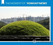 [모멘트] 김포 장릉 조망 가린 신축 아파트 단지