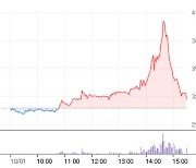 가짜뉴스에 샀다간 물린다..동진쎄미켐 상한가→급락