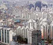 서울 청년 53%, "내 집 마련 부모 도움 없이 불가능"