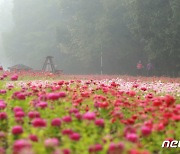 [오늘의 날씨]부산·경남(1일, 금)..맑음, 경남내륙 짙은 안개