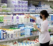 남양유업, 14일부터 우유 제품 가격 평균 4.9% 인상