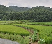 서울 살며 세종에 농지 3300평 산 윤희숙 부친..경찰 입건