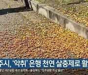 충주시, '악취' 은행 천연 살충제로 활용