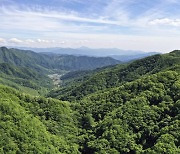 장수군, 선도 산림경영단지 공모사업 75억원 확보