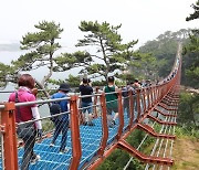 '인기폭발' 울산 대왕암공원 출렁다리 연말까지 무료