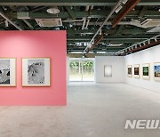 국제갤러리 부산점, 영화감독 박찬욱 '너의 표정'展 개막