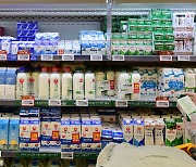 항아리우유 7% 오른다..빙그레·남양 우유 가격 인상