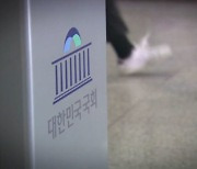 가계부채, 부동산 등 현안 산적한데..대선정국에 멀어지는 정책국감