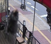 짬뽕 먹고 "머리카락 나왔다" 화낸 여성..CCTV 속 충격 반전
