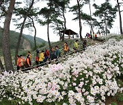 전북 가을 축제 줄줄이 취소..지역 상인 '한숨'