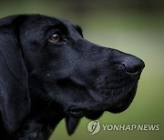 HUNGARY HUNTING AND NATURE EXHIBITION