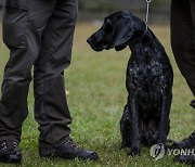 HUNGARY HUNTING AND NATURE EXHIBITION