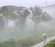 대구·경북 내륙 오전에 짙은 안개..낮 기온 25∼29도