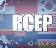 정부, RCEP 비준 동의안 국회 제출.."조기 발효 추진"