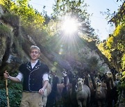 SWITZERLAND ALPACAS