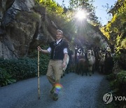 SWITZERLAND ALPACAS