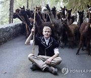 SWITZERLAND ALPACAS