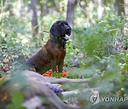 HUNGARY WORLD HUNTING AND NATURE EXHIBITION