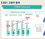 2025년 대한민국은 '초고령사회'..'독거노인' 비중만 35.1%