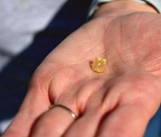 공원 산책 도중에..4.38캐럿 다이아몬드 발견한 여성