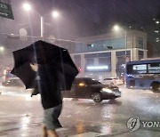 지난밤 서울 '깜짝' 돌풍·폭우..곳곳 비 피해