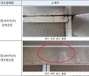 던킨 4개 공장 불시점검 '미흡' 확인..비알코리아 "개선 총력"
