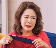 '신사와 아가씨' 안우연X윤진이, 일촉즉발 위기..차화연 '오열' 왜? [포인트:신]