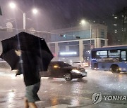 지난밤 서울 '깜짝' 폭우..가로수 쓰러지고 담 무너져(종합)