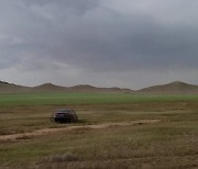 몽골에 심은 나무.."사막화 막고 황사 줄이고"