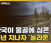 [자막뉴스] 한국이 몽골에 심은 나무..15년 지나자 '놀라운 변화'