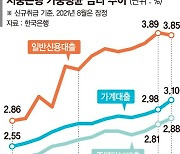 한달새 3%대로 뛴 이자.. 빌리기도 갚기도 어려워졌다 [무섭게 뛰는 대출금리]