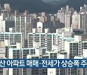 부산 아파트 매매·전세가 상승폭 주춤