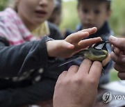 HUNGARY BIRD RINGING DEMONSTRATION