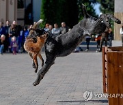 HUNGARY WORLD HUNTING AND NATURE EXHIBITION