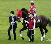 FRANCE HORSE RACING GRAND PRIX QATAR ARC DE TRIOMPHE